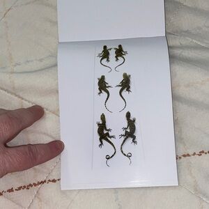 Postcard - Narcissus from Biophilia: The Art of Christopher Marley